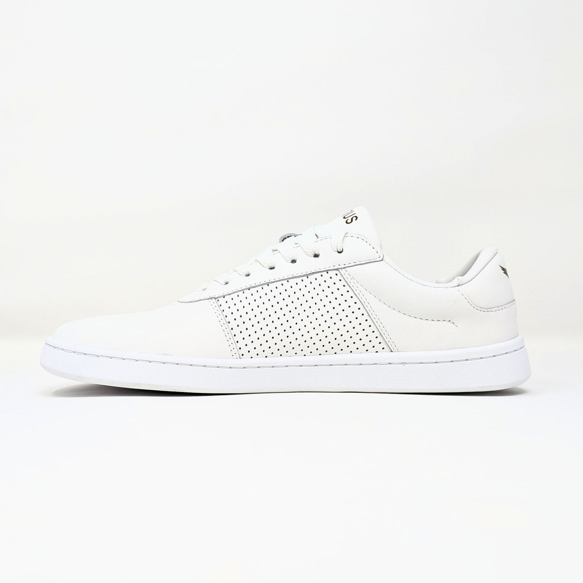 White/Gold