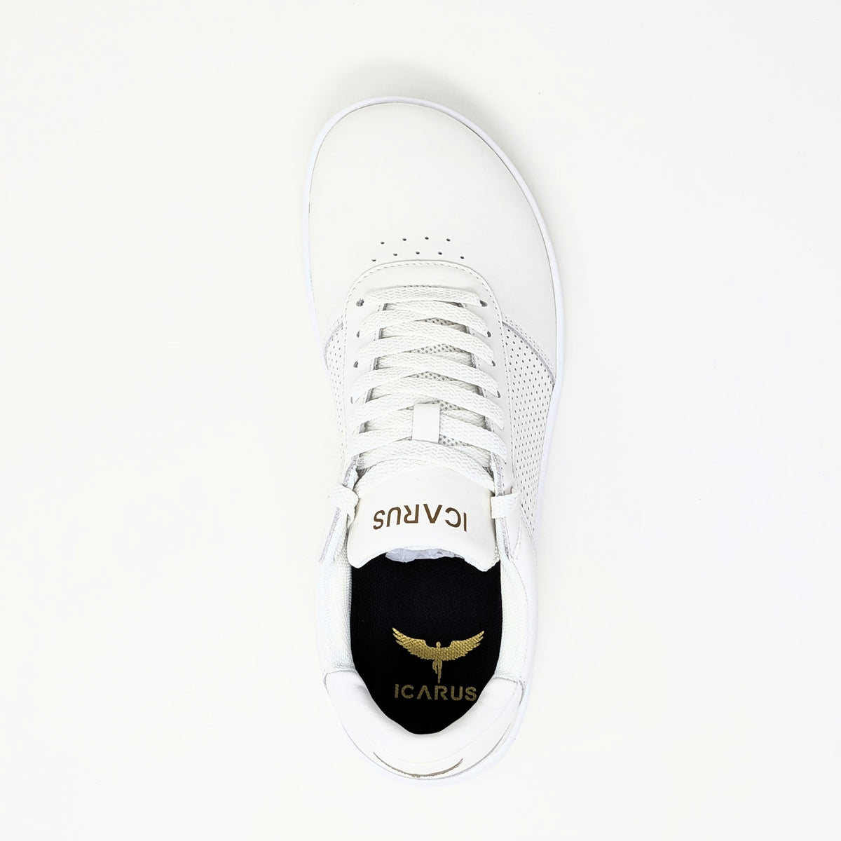 White/Gold